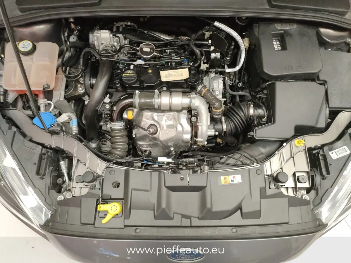 Ford Focus Station Wagon usata a Teramo (10)