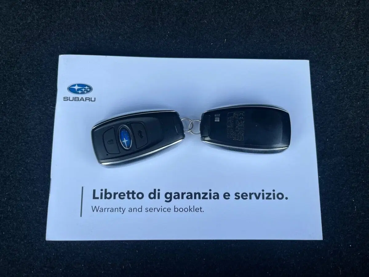 Subaru XV usata a Sondrio (17)