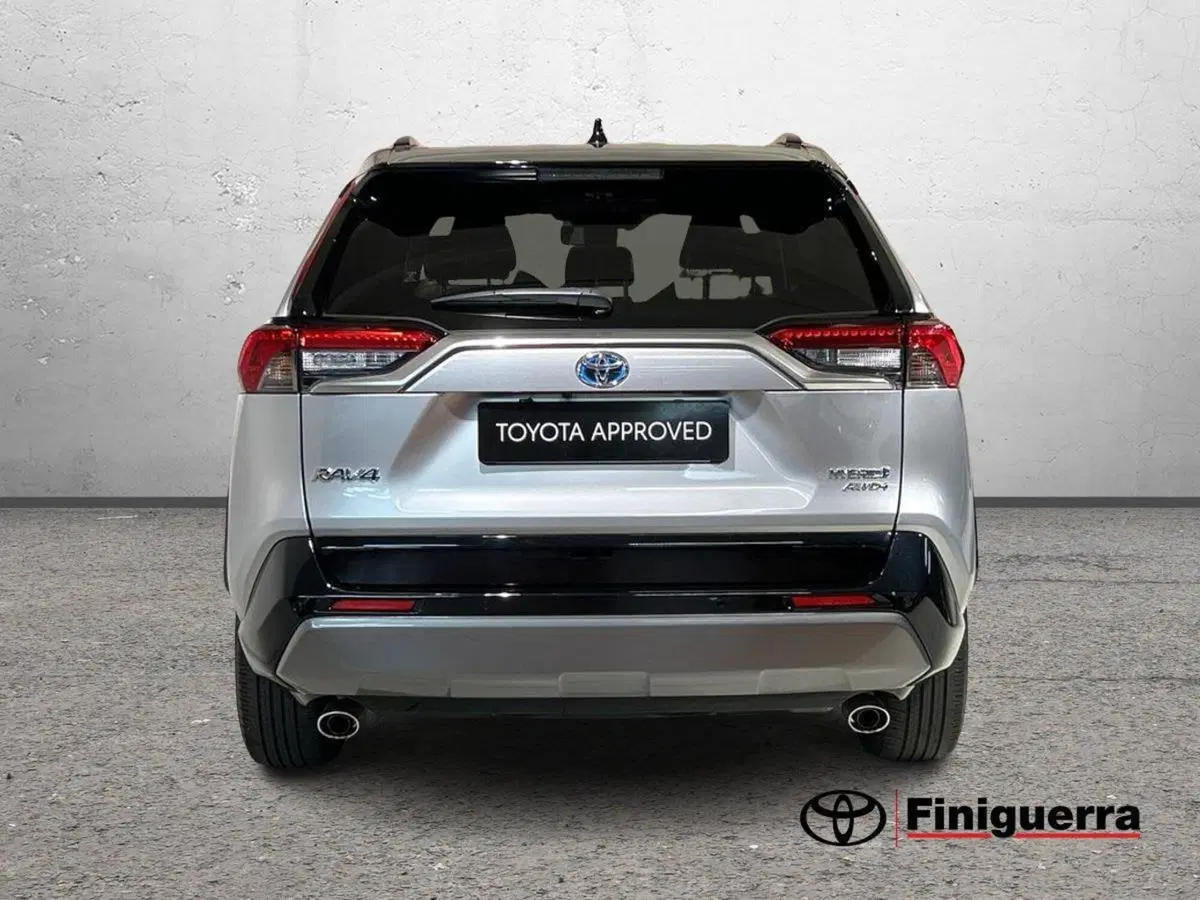 Toyota Rav4 usata a Lecco (2)