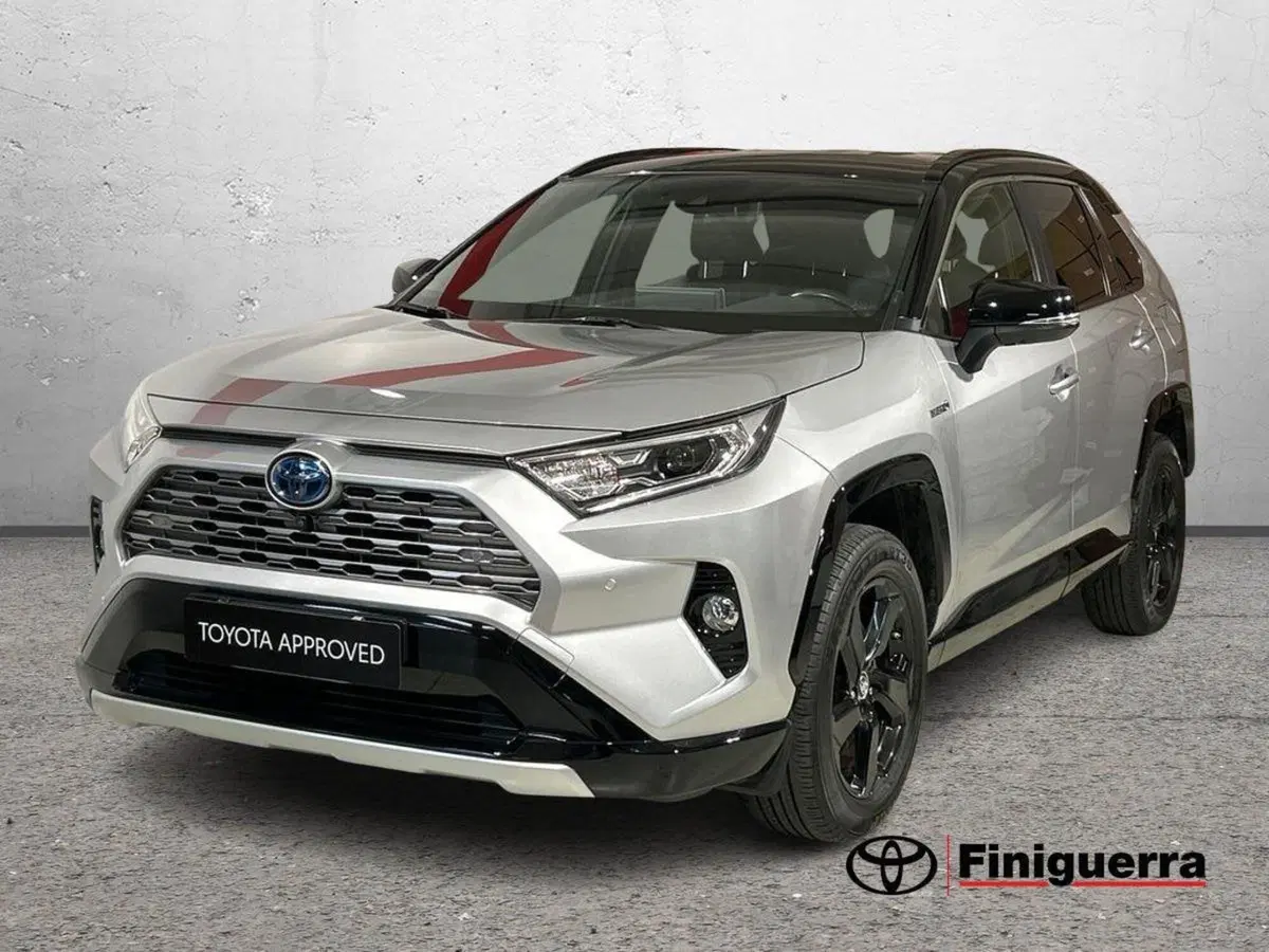 Toyota Rav4 usata a Lecco (8)