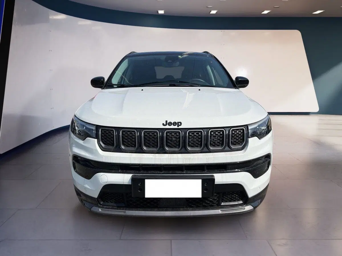 Jeep Compass usata a Torino (2)