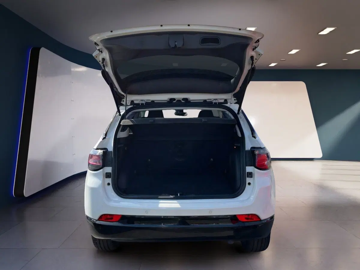 Jeep Compass usata a Torino (8)