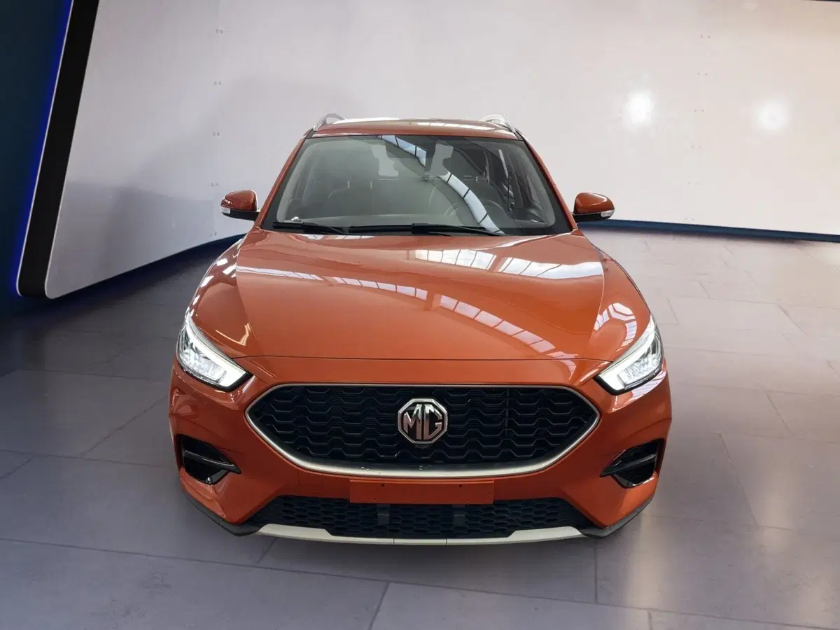 Mg ZS usata a Torino