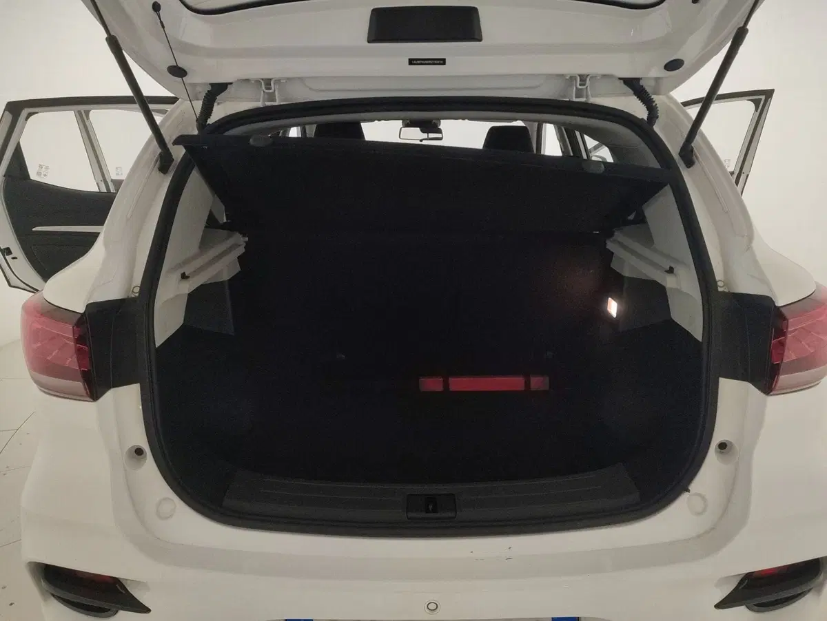 Mg ZS usata a Alessandria (11)