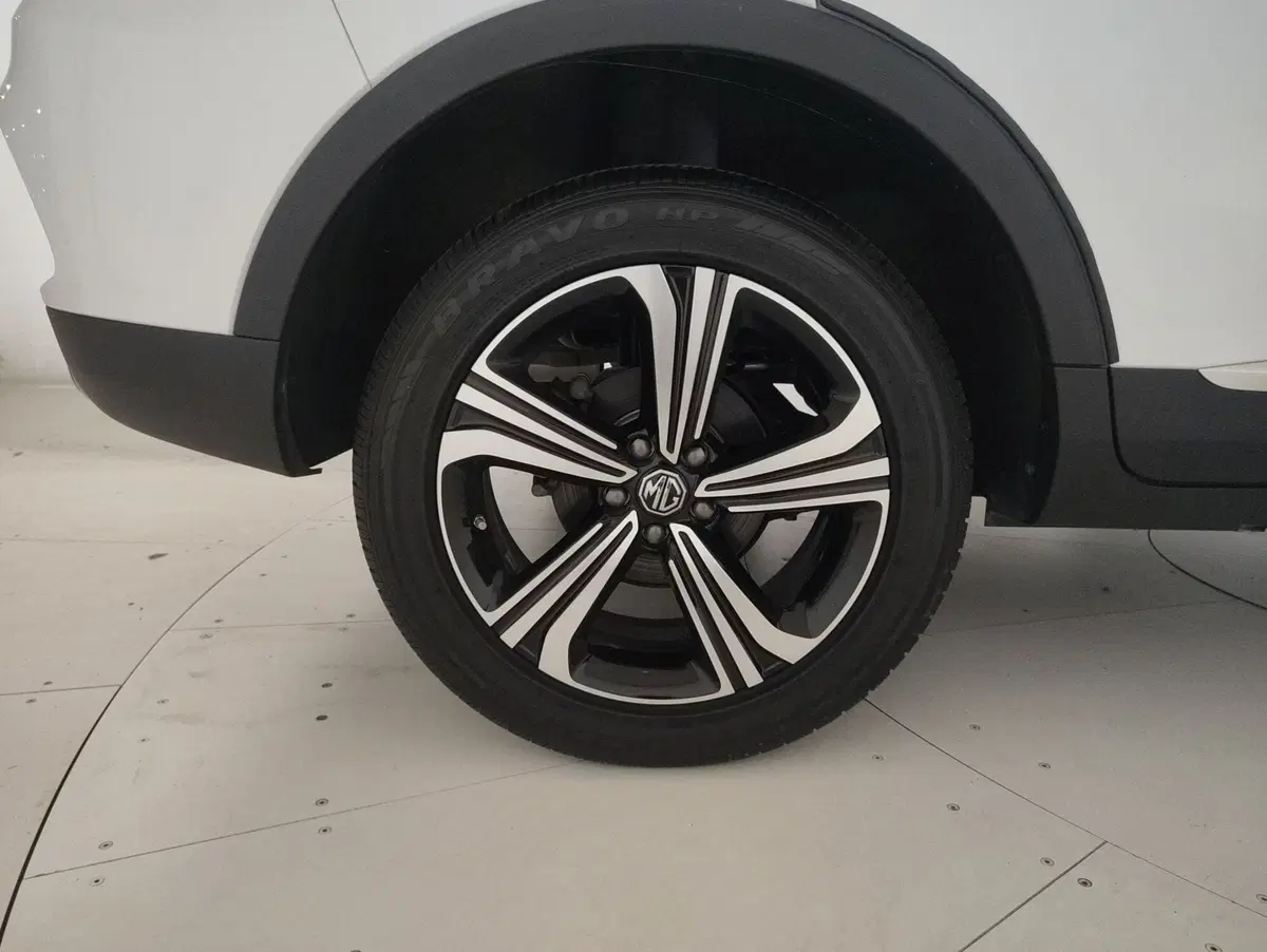 Mg ZS usata a Alessandria (14)