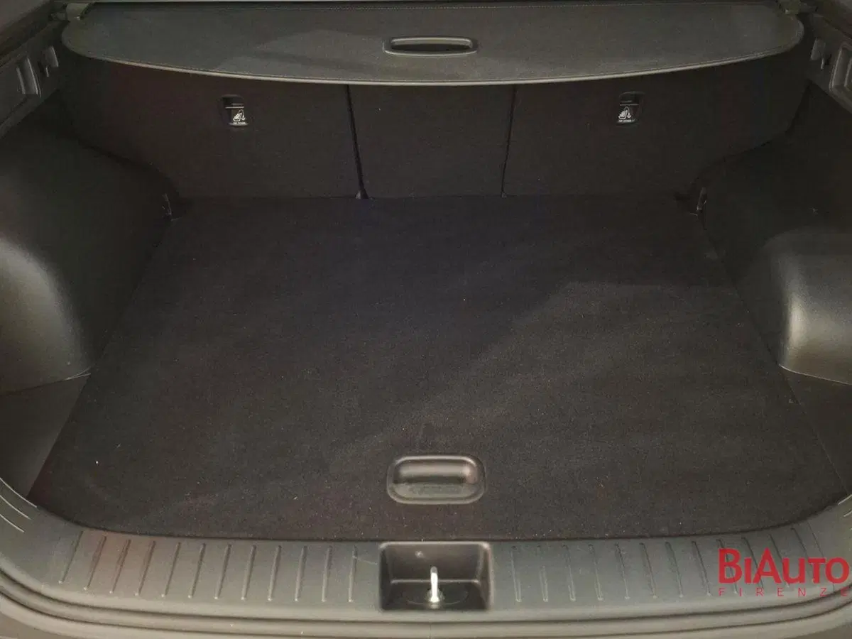Kia Sportage usata a Firenze (5)