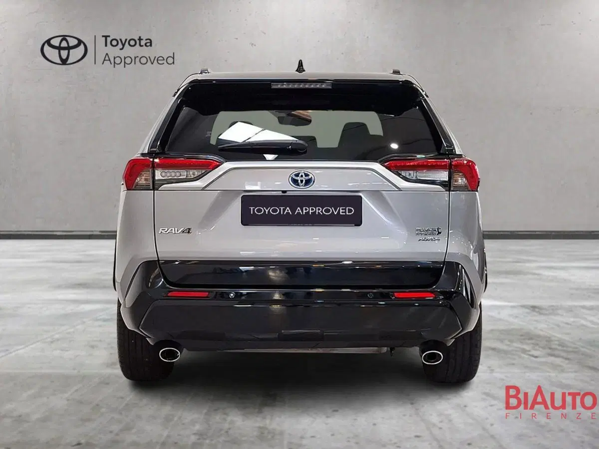 Toyota Rav4 usata a Firenze (12)