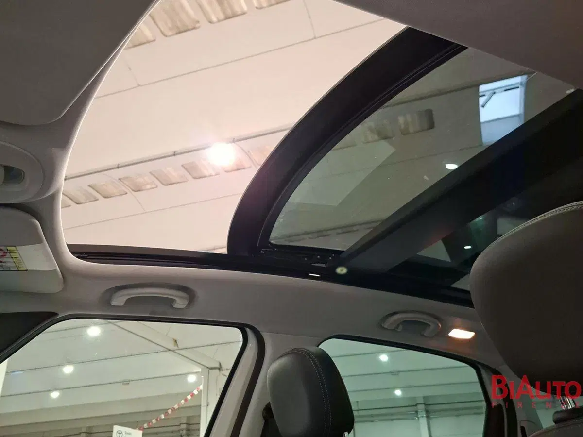 Fiat 500L usata a Firenze (17)
