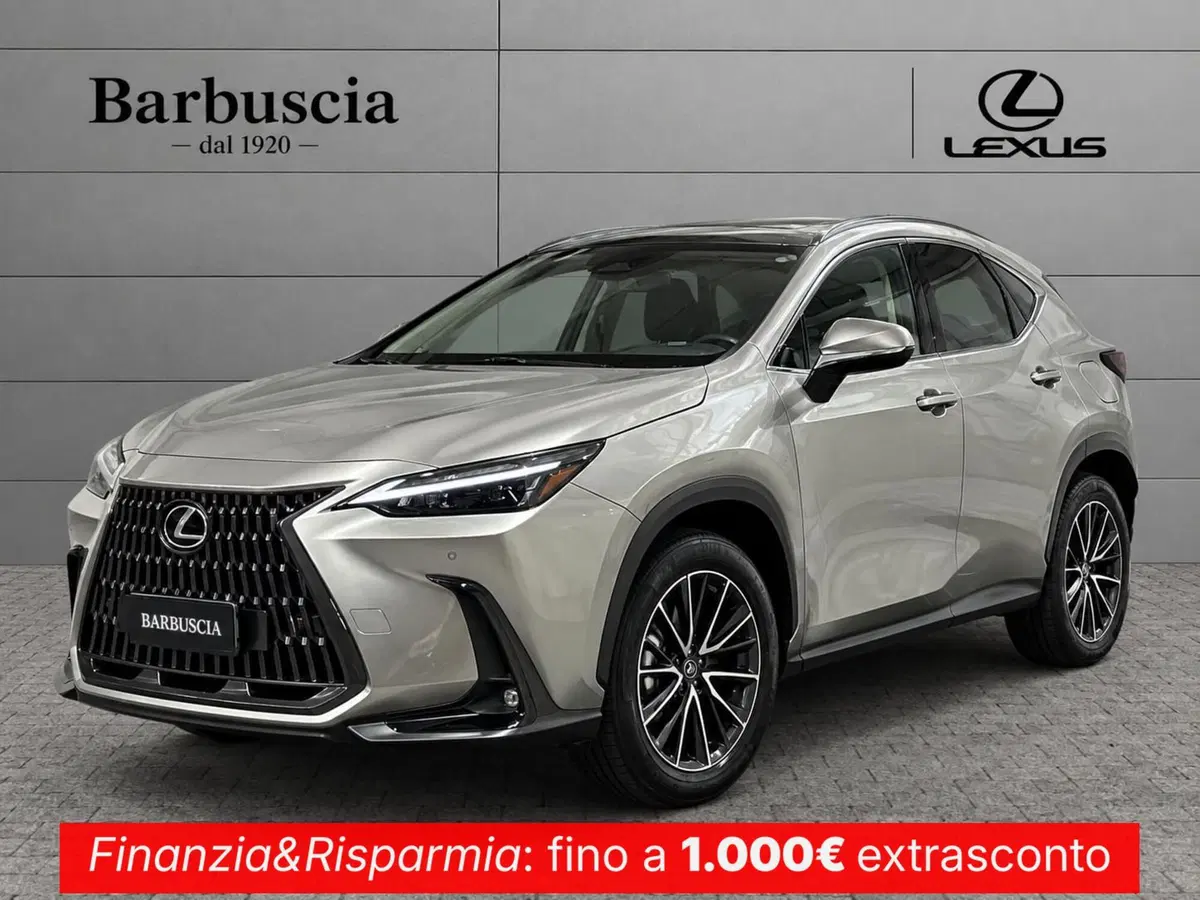 Lexus NX usata a Pescara