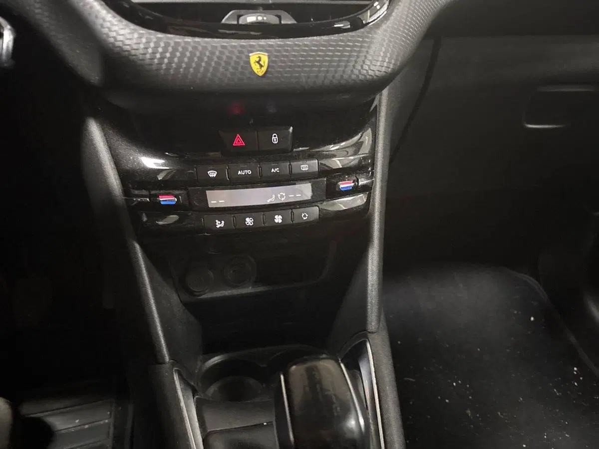 Peugeot 208 usata a Torino (14)
