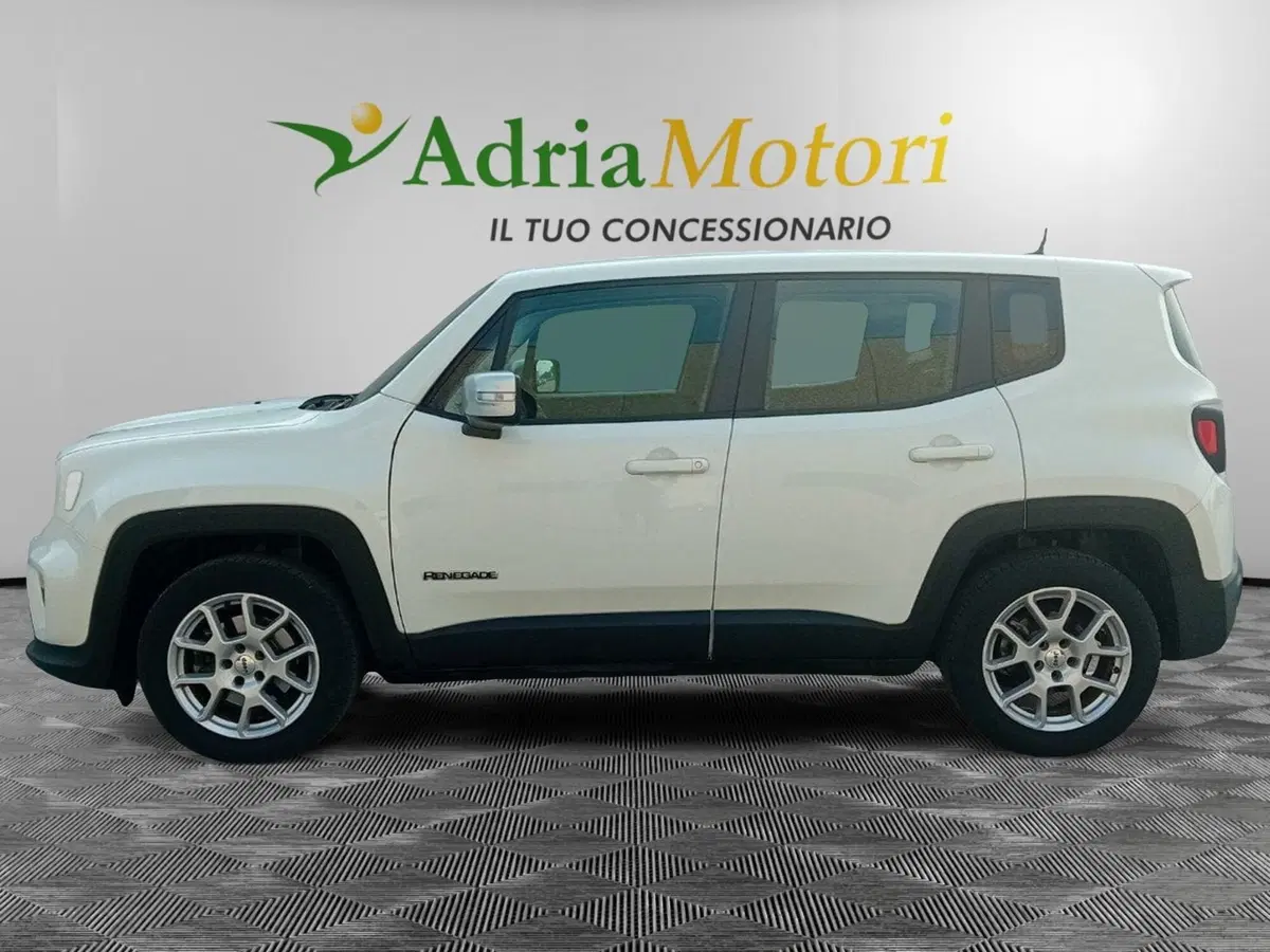 Jeep Renegade usata a Pordenone (2)