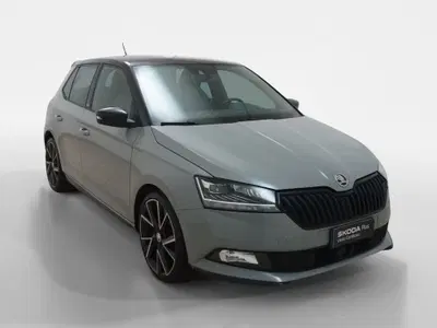 Skoda Fabia 1.0 TSI Twin Color Monte Carlo del 2019 usata a Torino