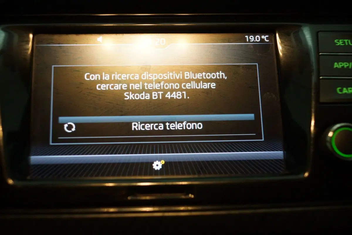 Skoda Fabia usata a Torino (18)