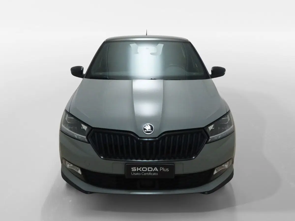 Skoda Fabia usata a Torino (2)