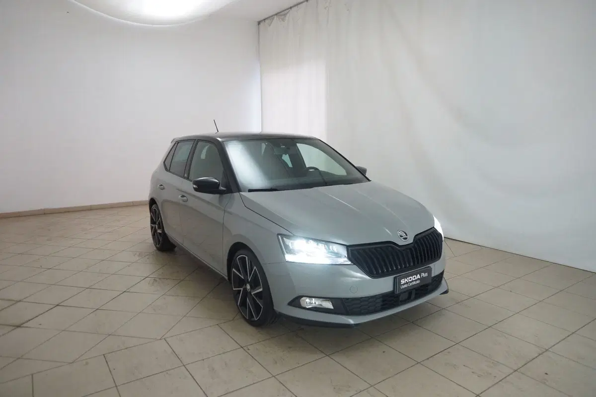 Skoda Fabia usata a Torino (20)