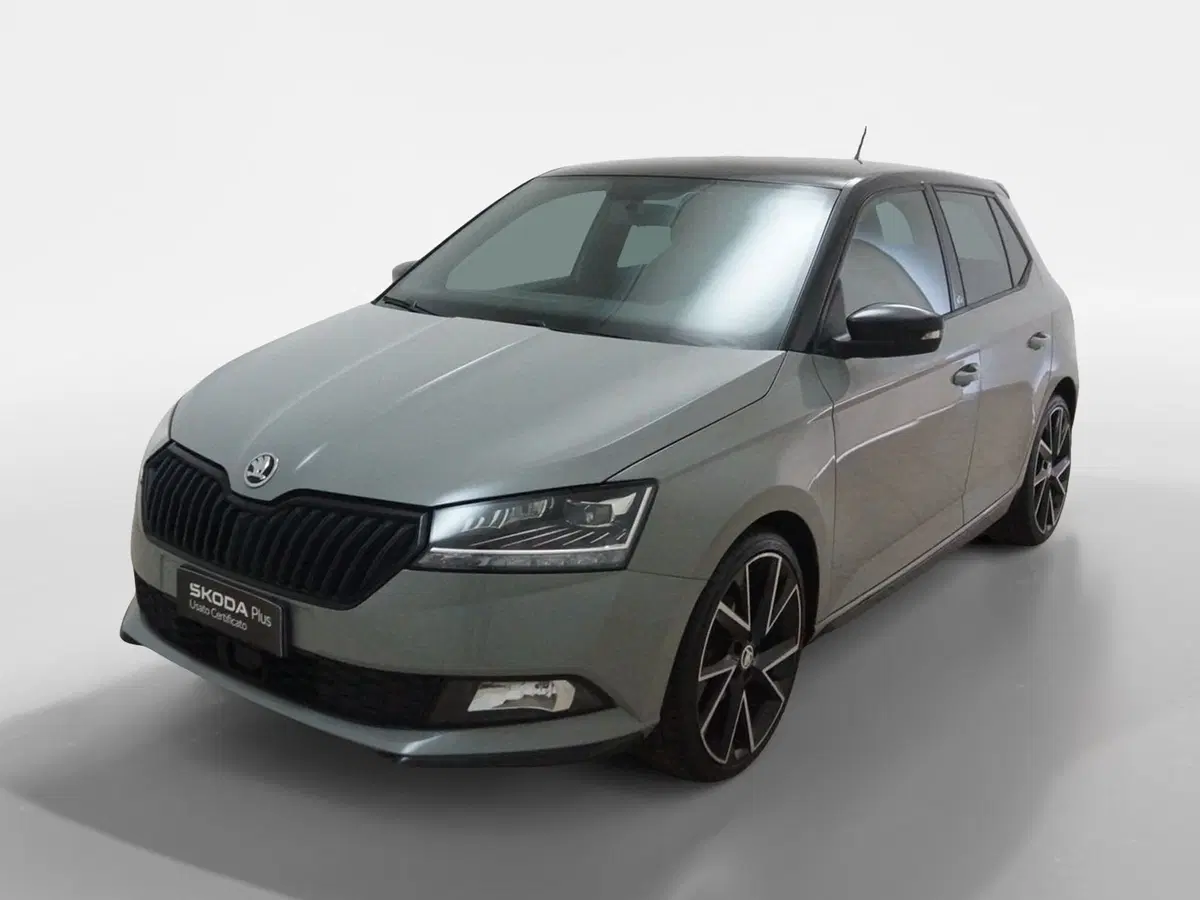 Skoda Fabia usata a Torino (3)