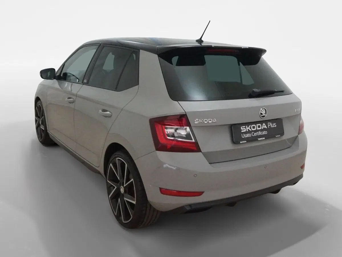 Skoda Fabia usata a Torino (4)