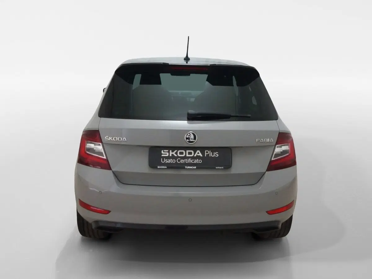 Skoda Fabia usata a Torino (5)