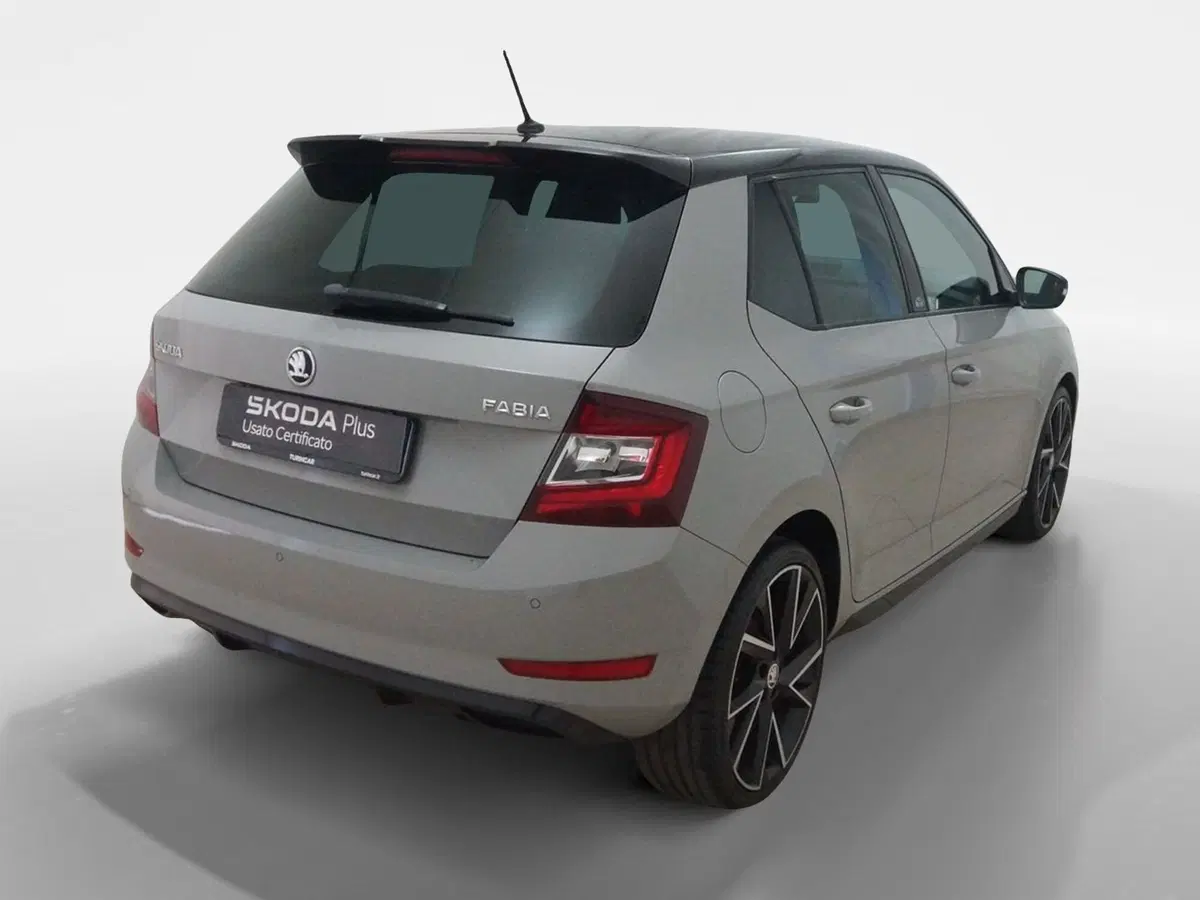Skoda Fabia usata a Torino (6)