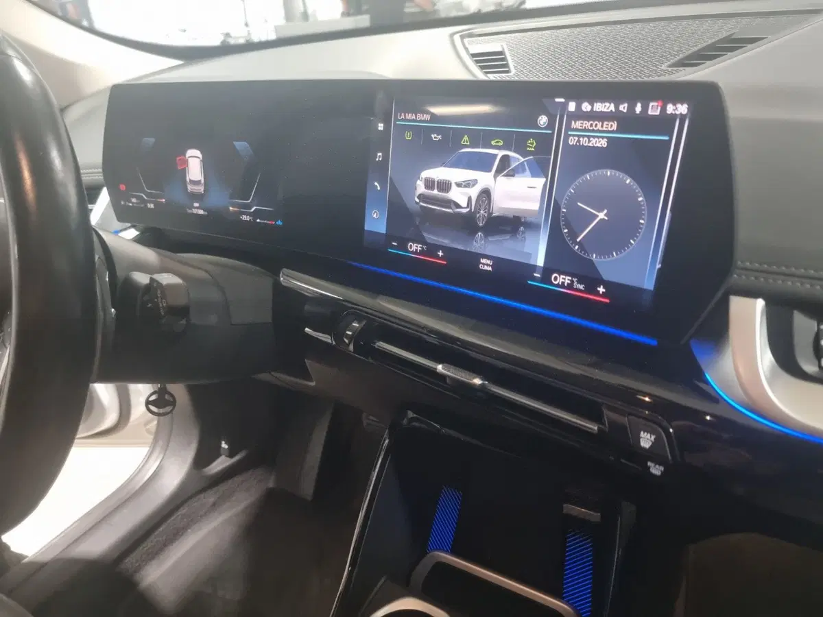 BMW X1 usata a Caserta (20)