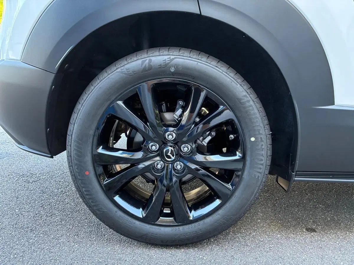 Mazda CX-30 usata a Vercelli (14)