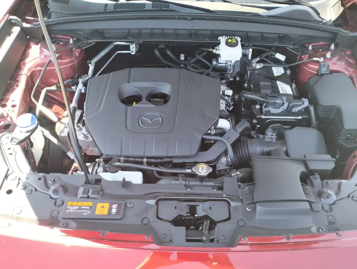 Mazda CX-5 usata a Novara (18)