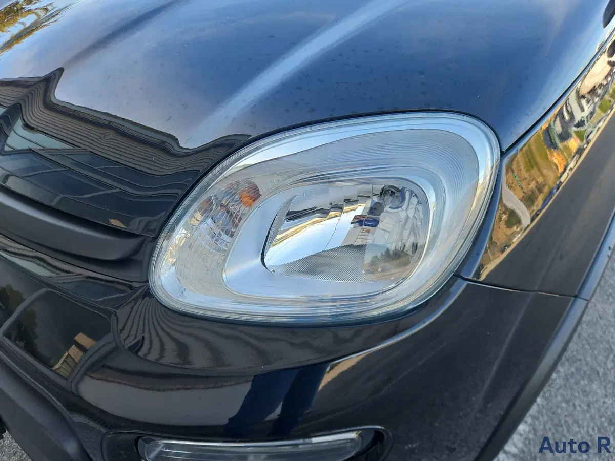 Fiat Panda Cross usata a Potenza (14)