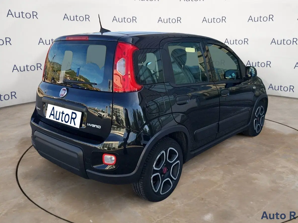 Fiat Panda Cross usata a Potenza (5)