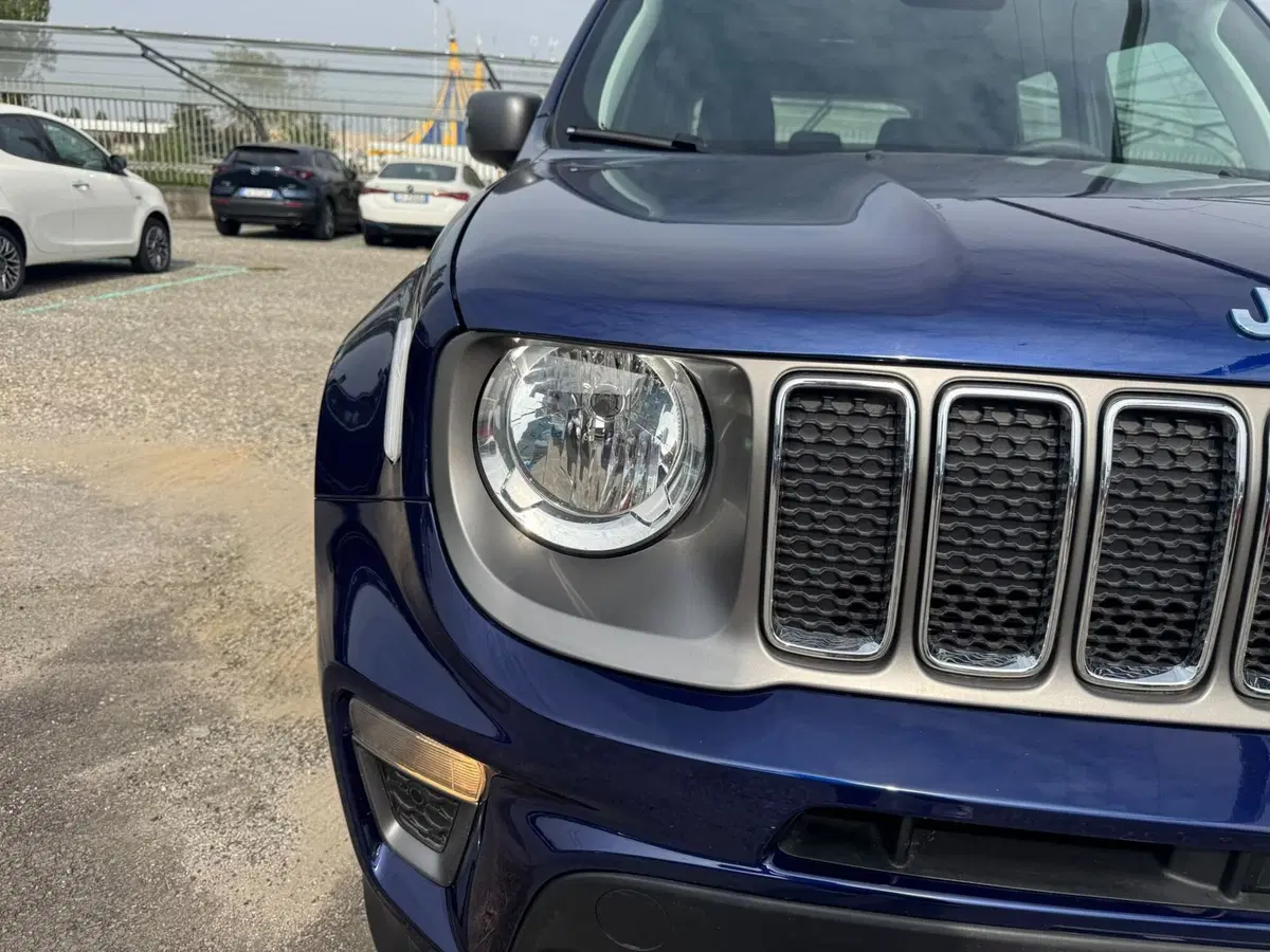Jeep Renegade usata a Monza e Brianza (17)