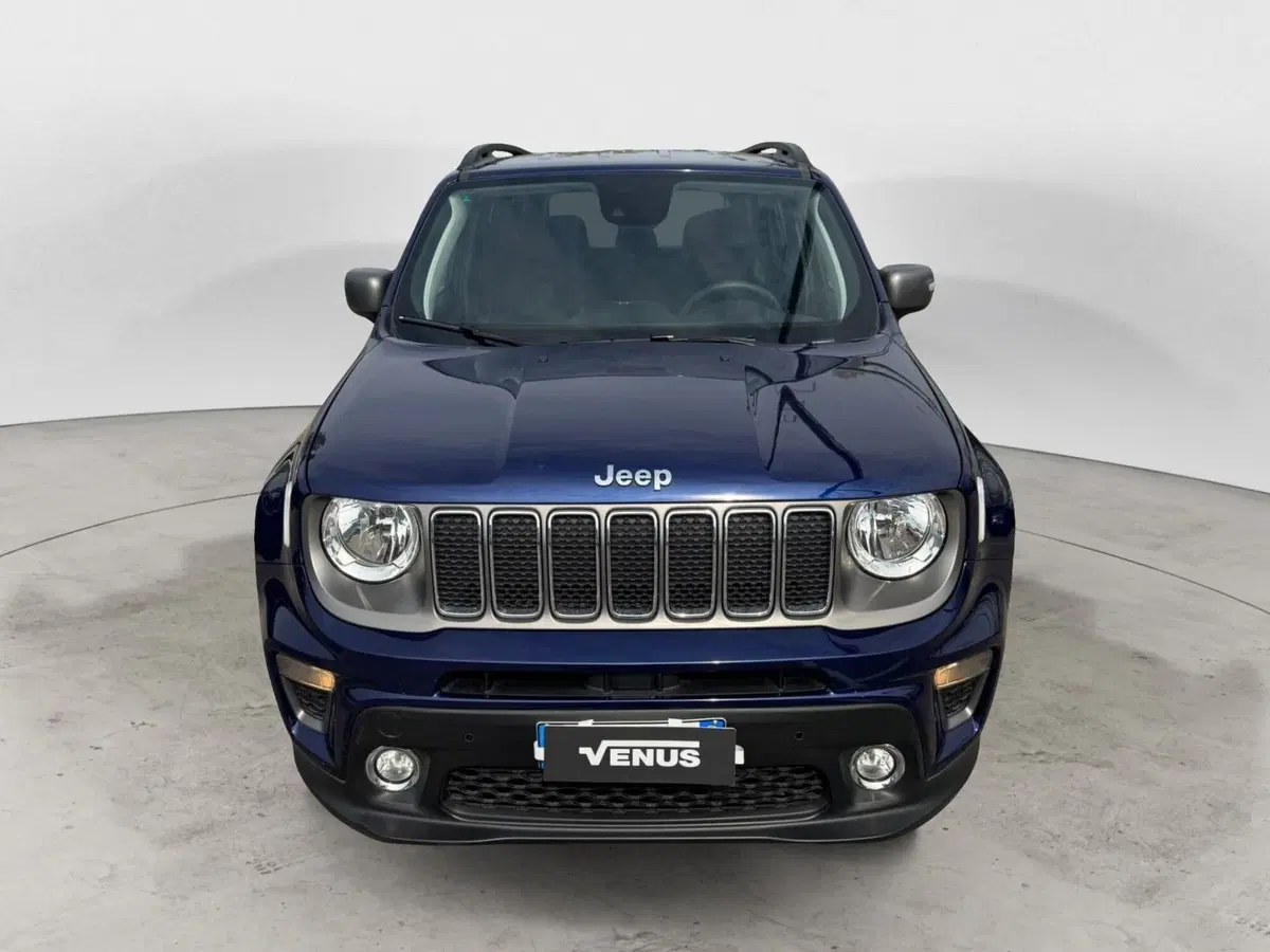 Jeep Renegade usata a Monza e Brianza (2)