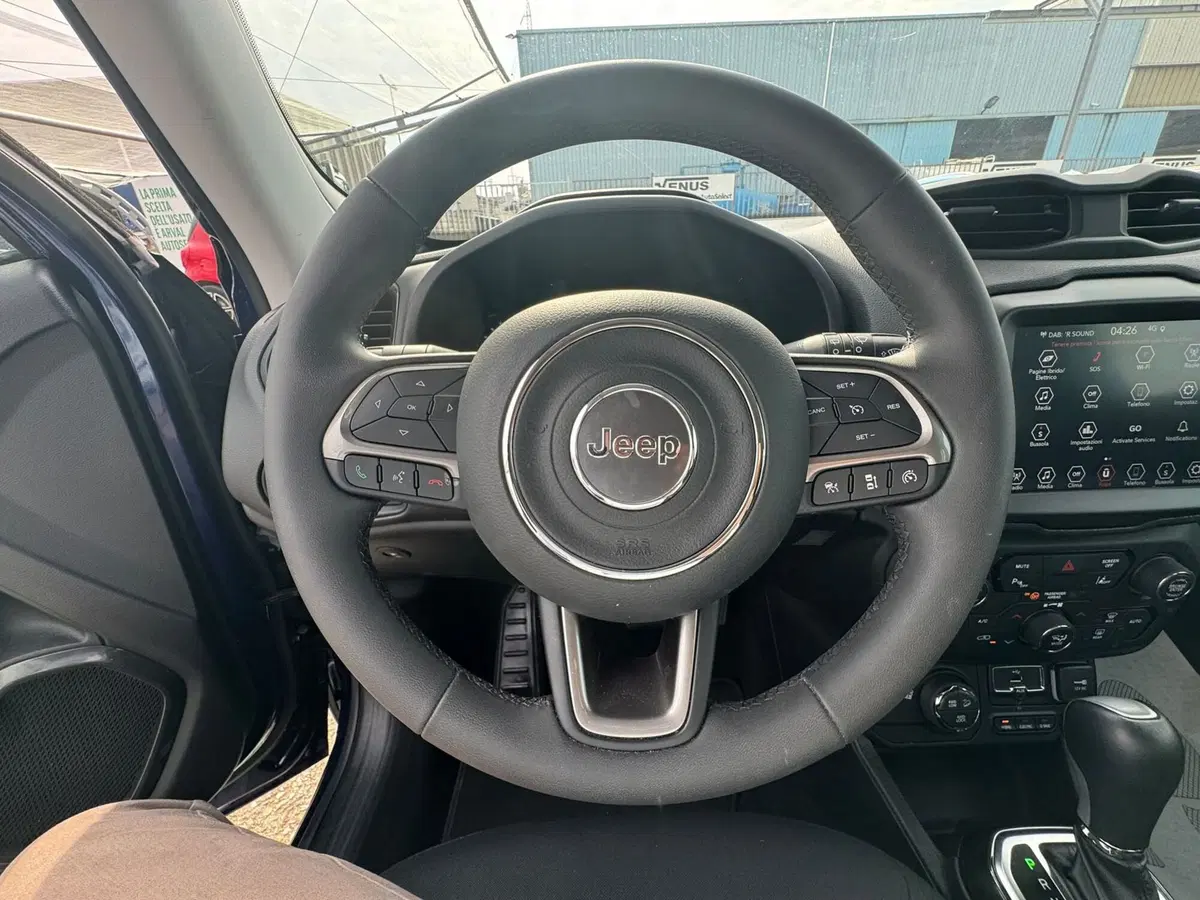 Jeep Renegade usata a Monza e Brianza (20)