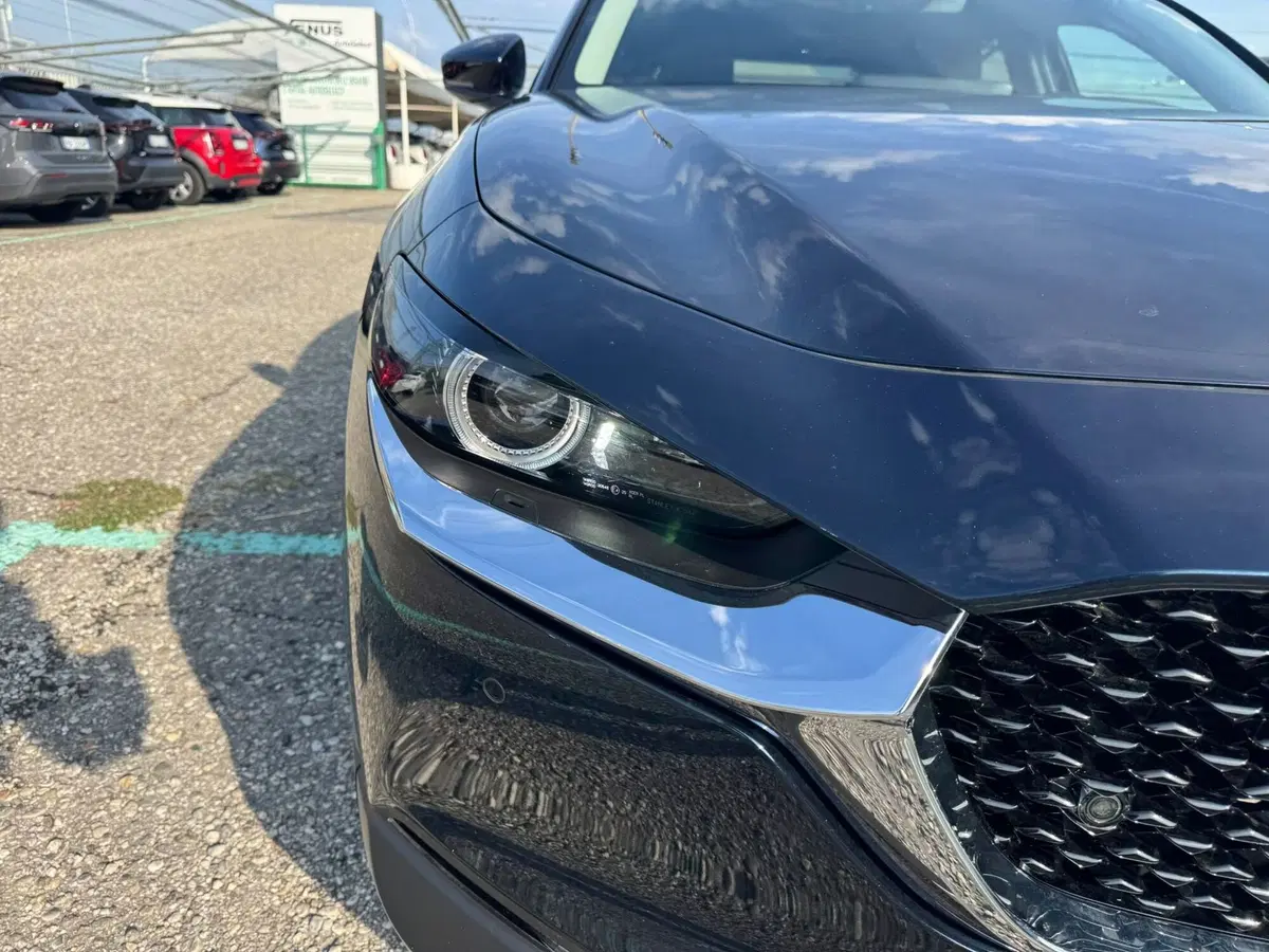 Mazda CX-30 usata a Monza e Brianza (15)