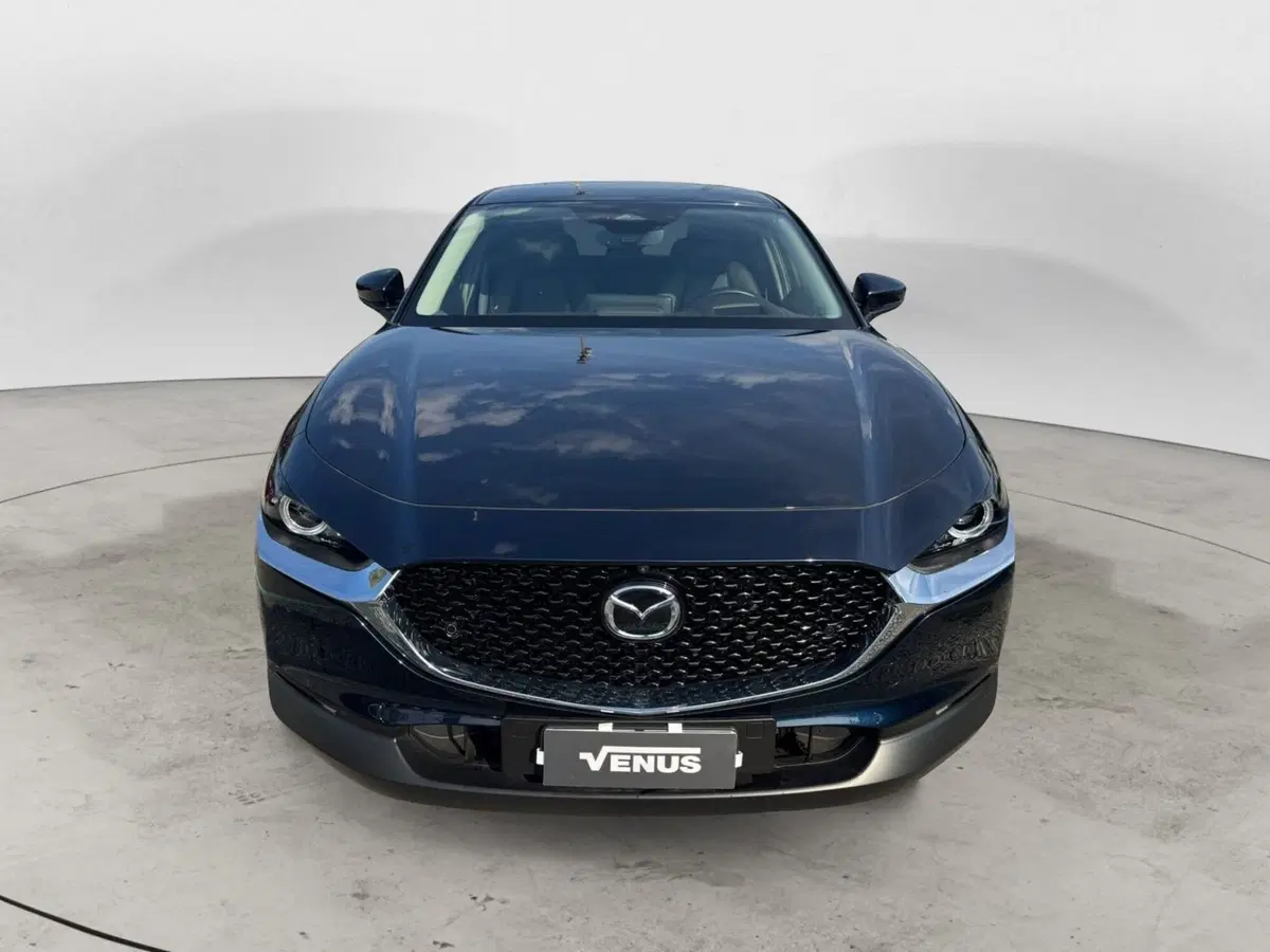 Mazda CX-30 usata a Monza e Brianza (2)