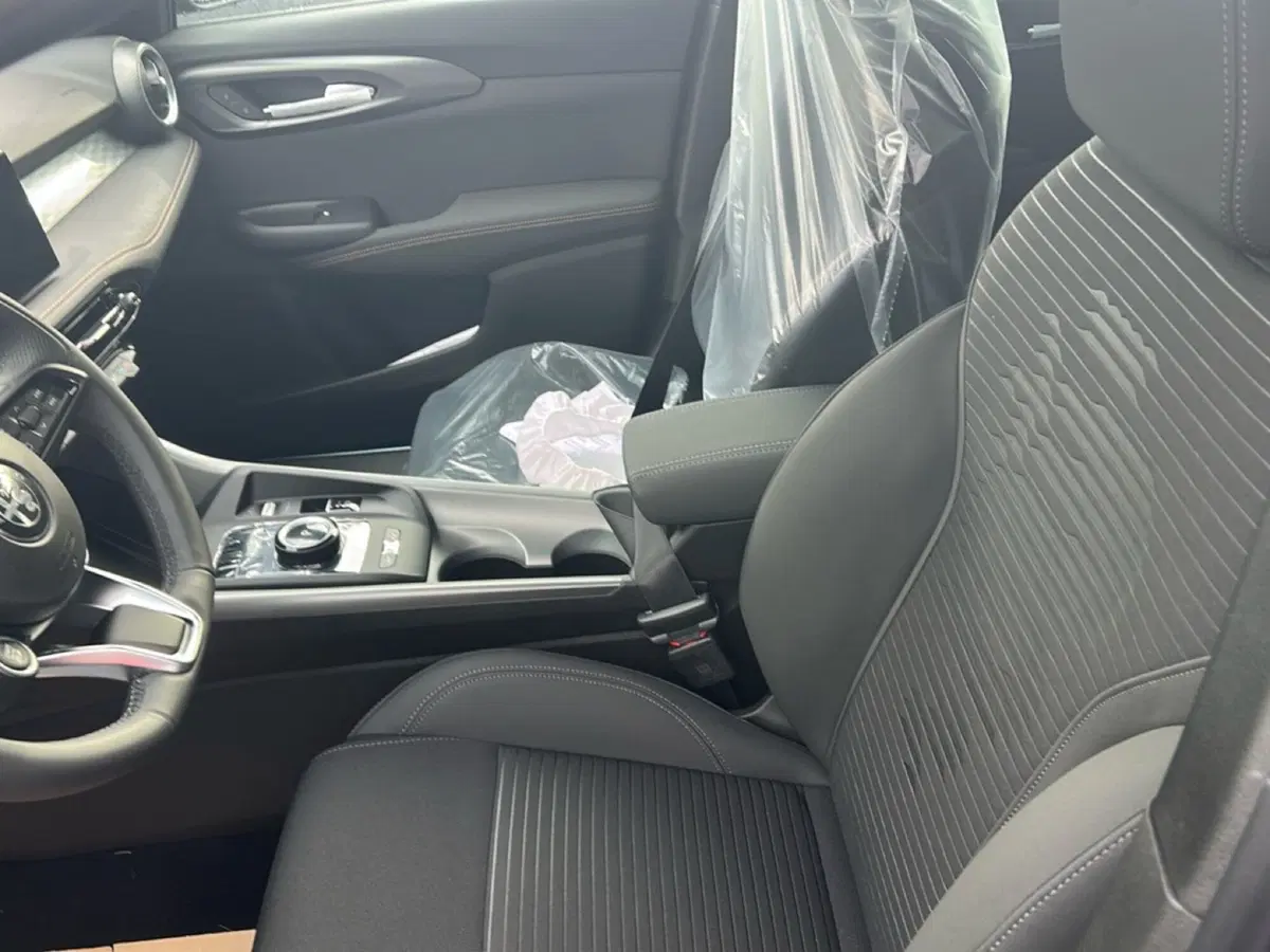 Alfa Romeo Tonale nuova a Frosinone (8)