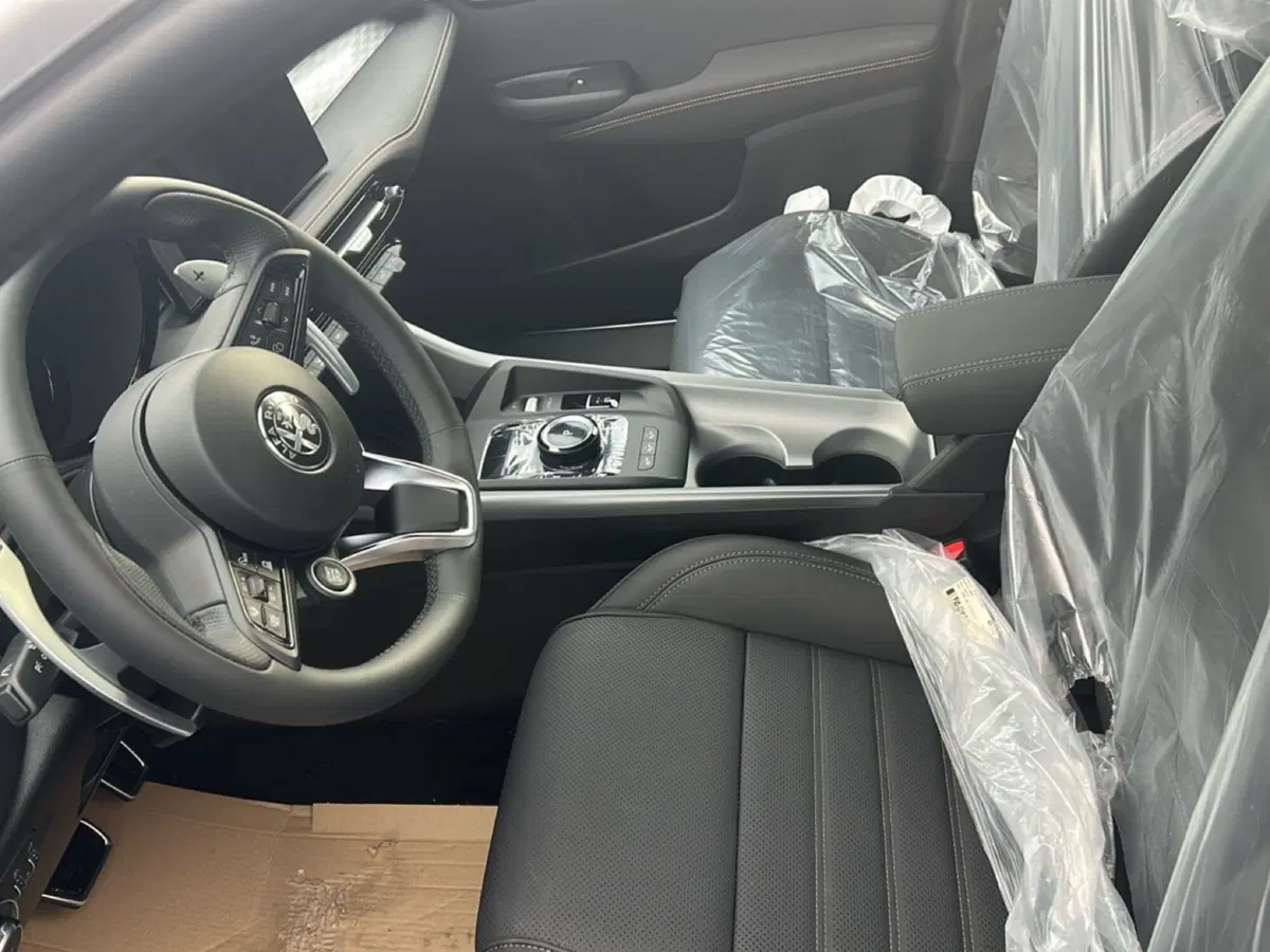 Alfa Romeo Tonale nuova a Frosinone (8)