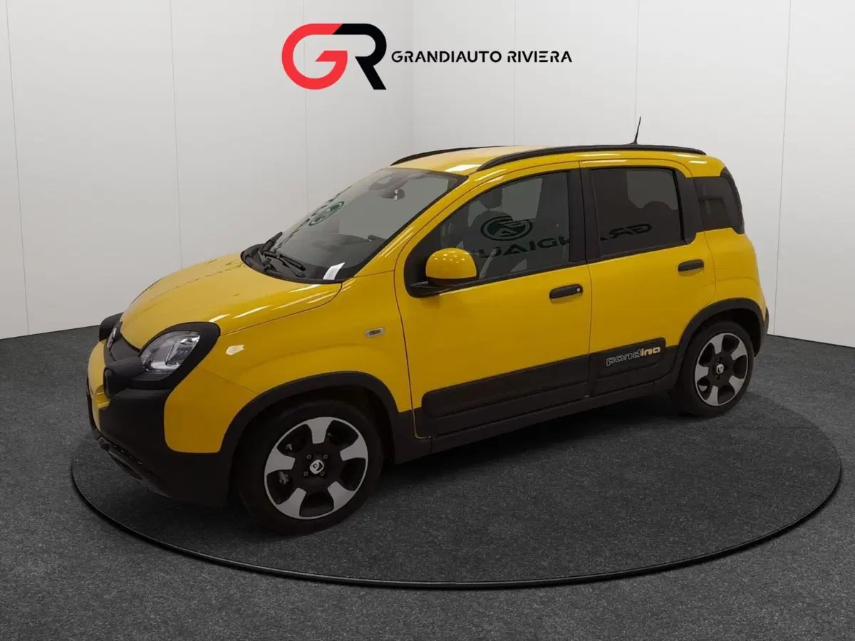 Fiat Pandina usata a Alessandria