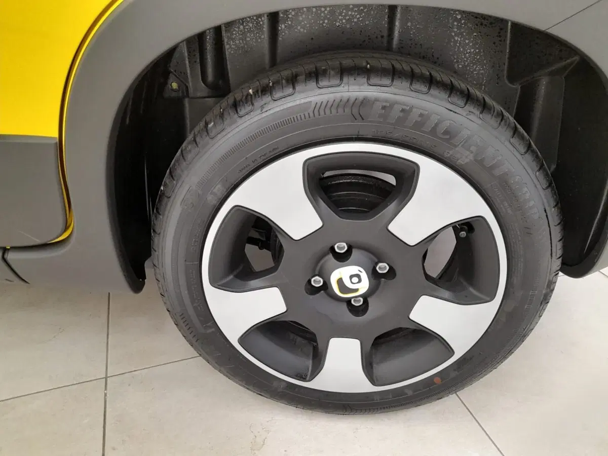 Fiat Pandina usata a Alessandria (11)