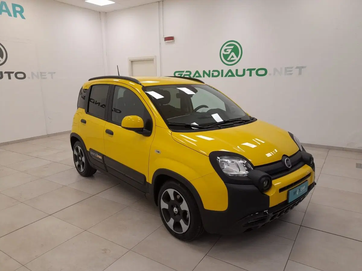 Fiat Pandina usata a Alessandria (2)