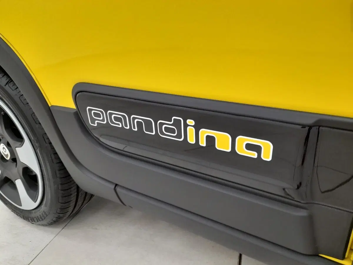 Fiat Pandina usata a Alessandria (9)