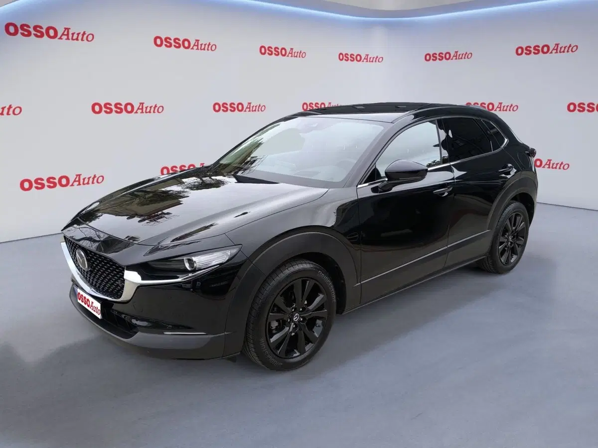 Mazda CX-30 usata a Udine
