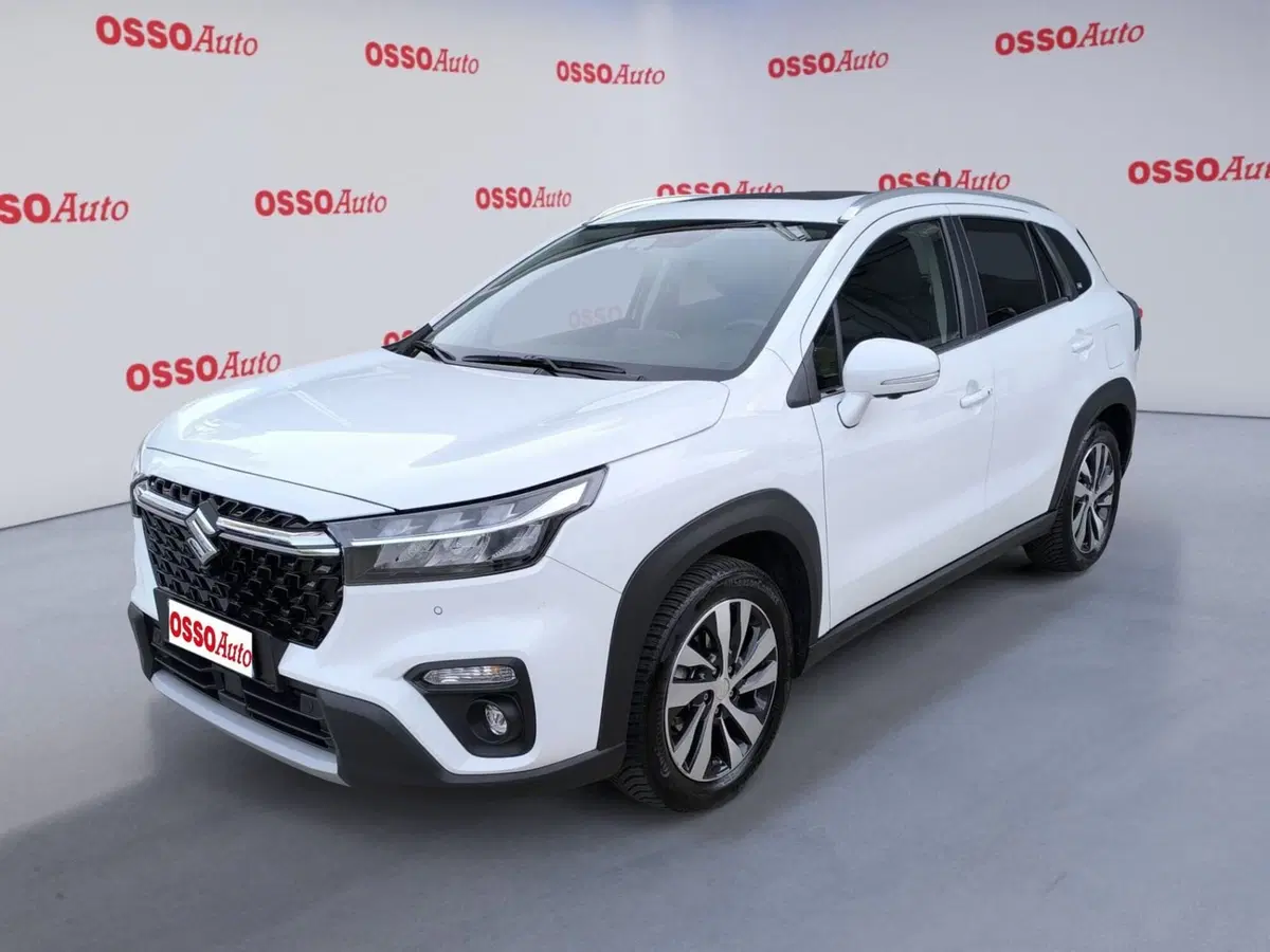 Suzuki S-Cross usata a Udine