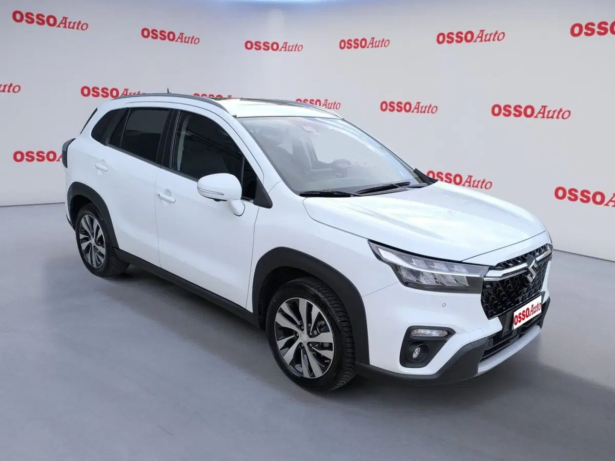Suzuki S-Cross usata a Udine (2)
