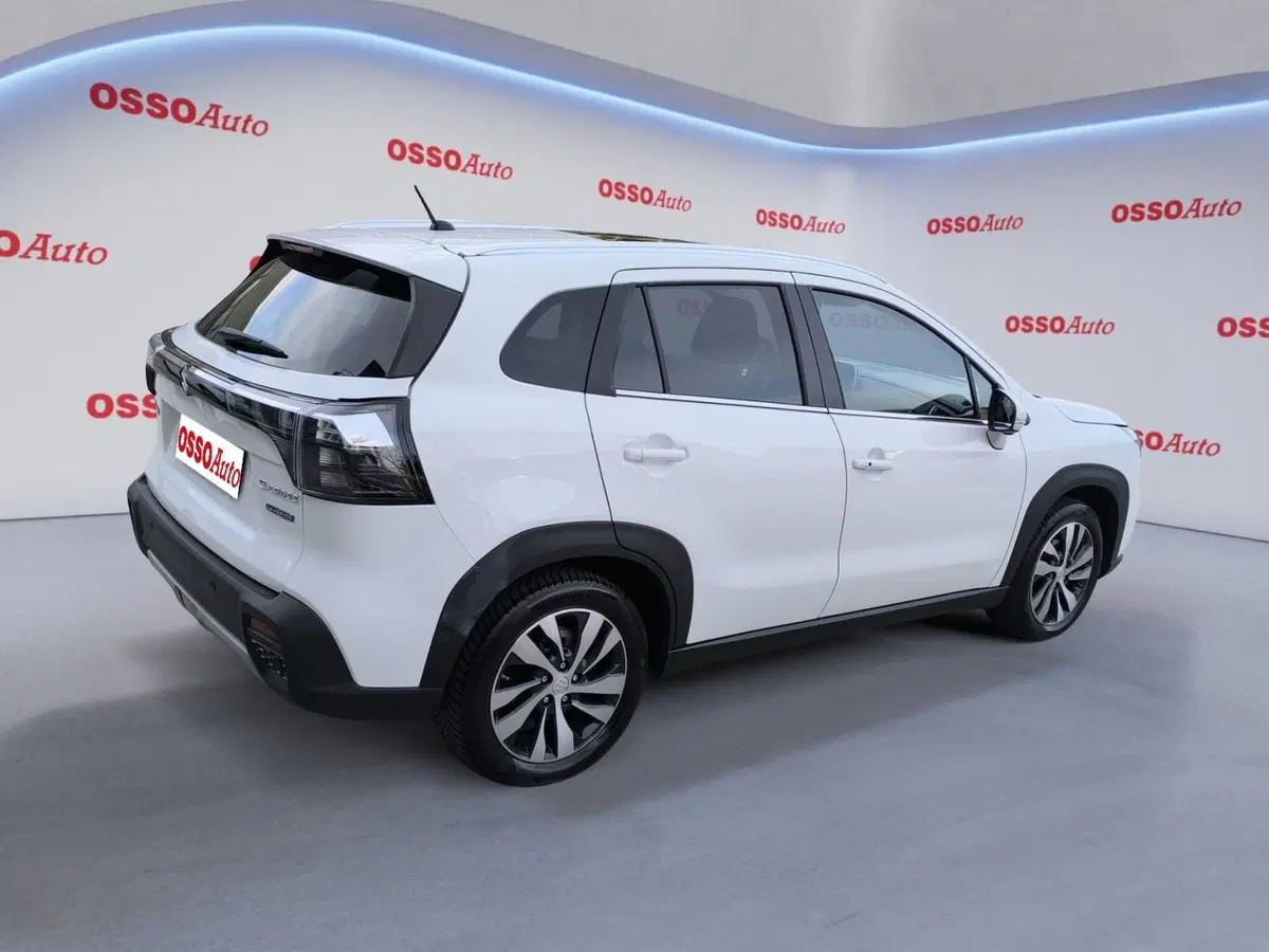 Suzuki S-Cross usata a Udine (3)