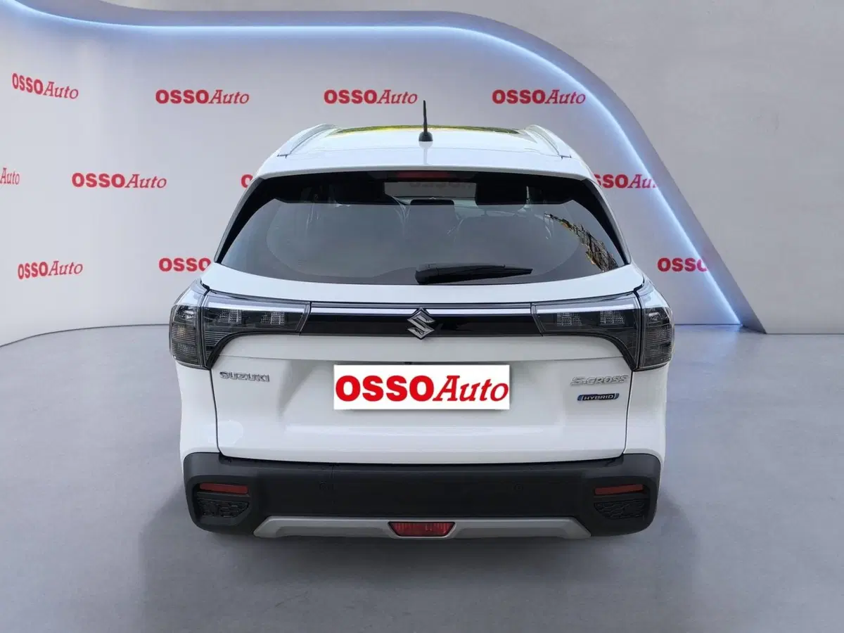 Suzuki S-Cross usata a Udine (6)