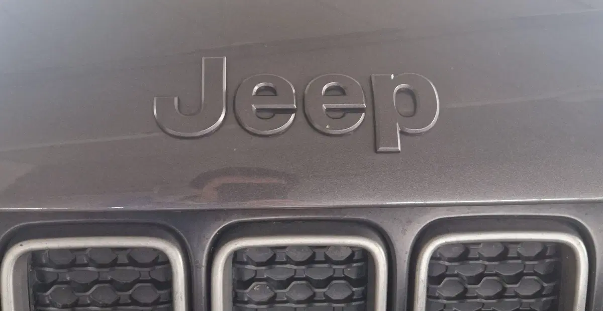 Jeep Renegade usata a Terni (20)
