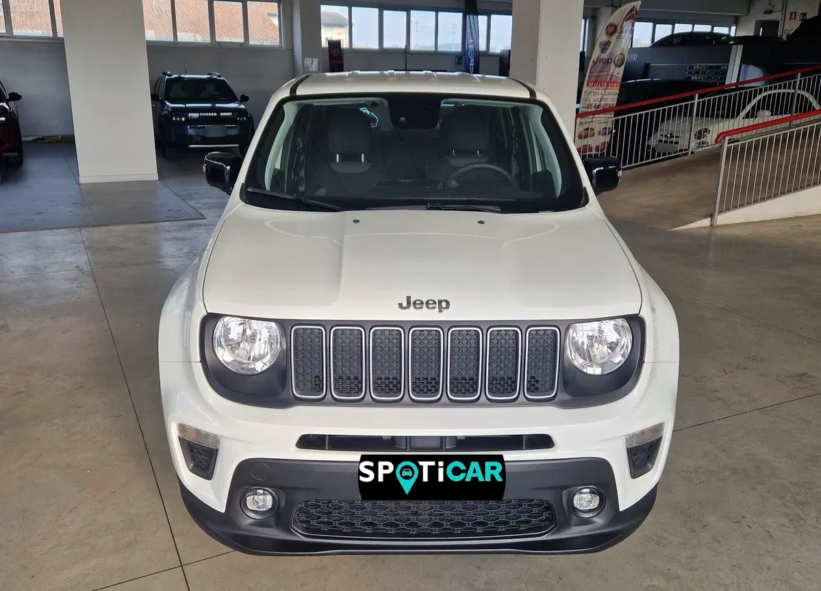 Jeep Renegade usata a Terni (2)