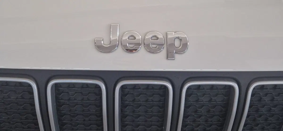 Jeep Renegade usata a Terni (20)