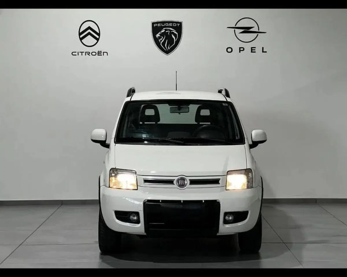 Fiat Panda usata a Alessandria (2)