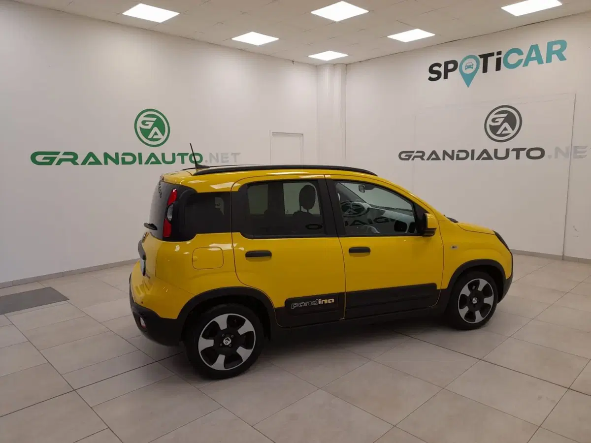 Fiat Pandina usata a Alessandria (6)
