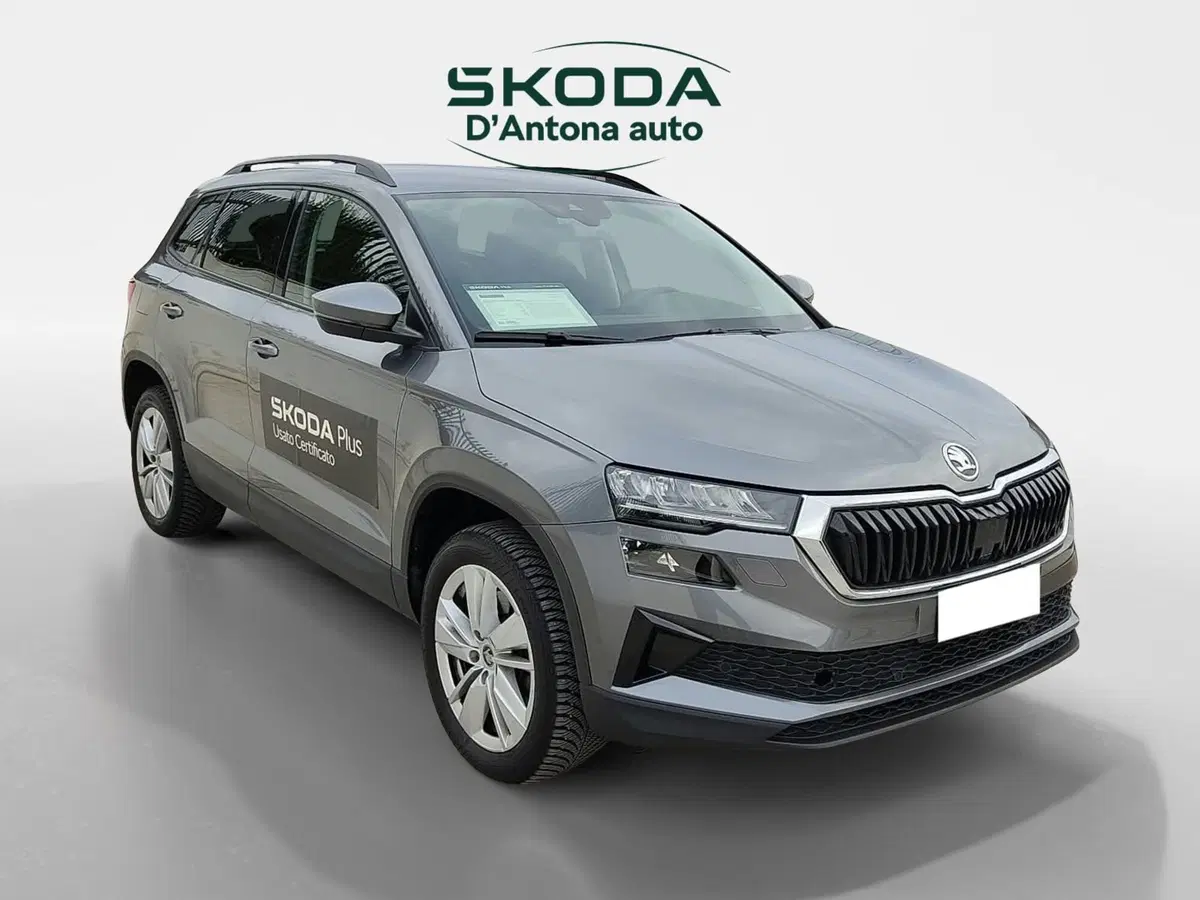 Skoda Karoq usata a Taranto